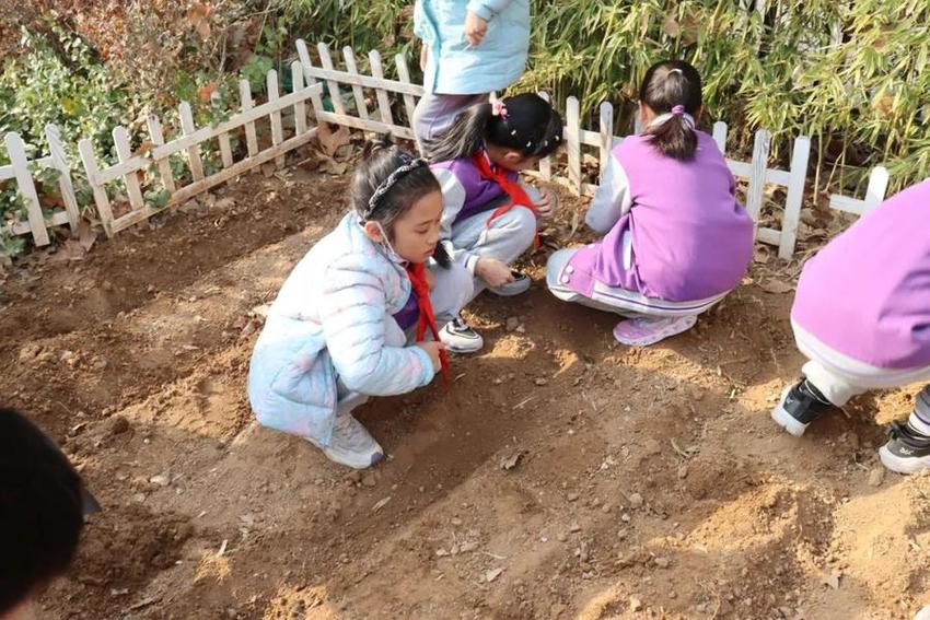 龙抬头·农耕情·劳动美——济南高新区康虹路小学春耕节活动