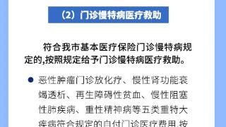一图读懂《武汉市人民政府关于健全重特大疾病医疗保险和救助制度》