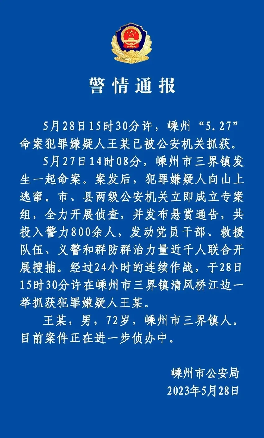 浙江72岁命案犯罪嫌疑人落网，村民：有路人老奶奶呼救遭一同杀害