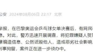 闹大了，女子网上诋毁乒乓球运动员被刑拘，评论区已炸锅！