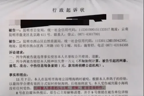 “是它先咬的我！”男子强抓海鸥拍照被罚后，声称要起诉警方