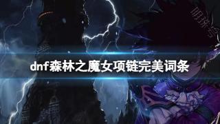 《dnf》森林之魔女项链完美词条介绍