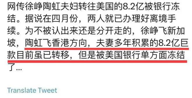 陶虹已回国！和徐峥上海看话剧被偶遇，近况曝光8.2亿资金已解冻