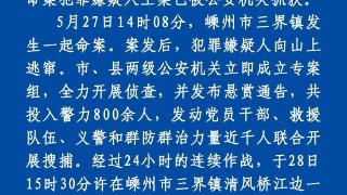 浙江72岁命案犯罪嫌疑人落网，村民：有路人老奶奶呼救遭一同杀害