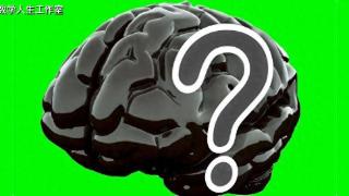 科学家首次确定了好奇心在大脑中产生的位置