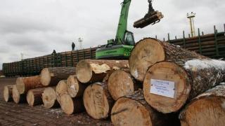 2022年俄罗斯对中国的原木和木料出口量下降