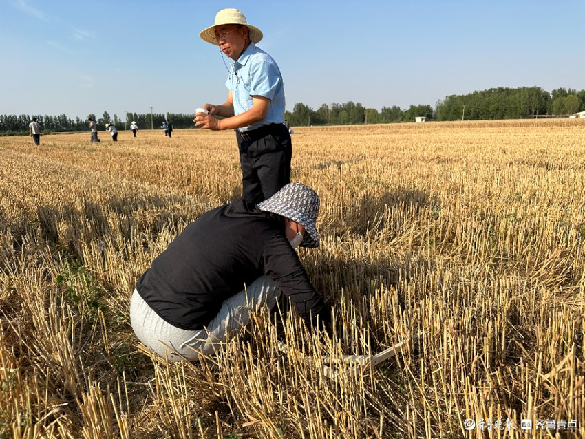 德州天衢新区赵虎镇开展小麦机收减损技能大比武暨争霸赛颁奖活动