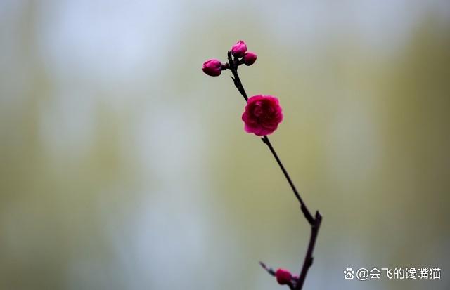 离婚了的女人别去幻想能找到一个比前夫好的男人，这种说法正确吗