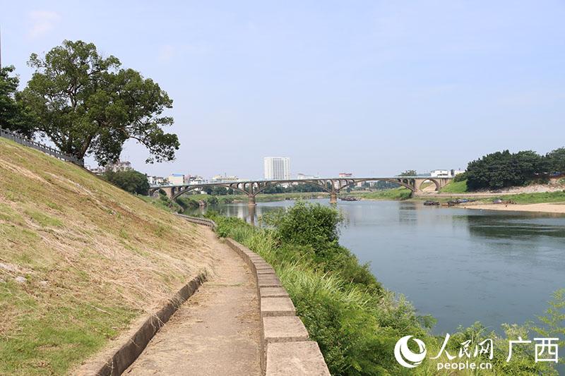 柳州鹿寨：推动生态环境持续改善 城区防洪堤变锻炼休闲地