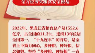 海报 | 中央一号文件聚焦三农 率先建设农业强省 黑龙江只争朝夕