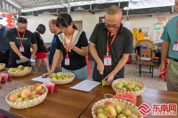 新罗：水蜜桃采摘激情碰撞漂流节，一起去摘水果觅清凉