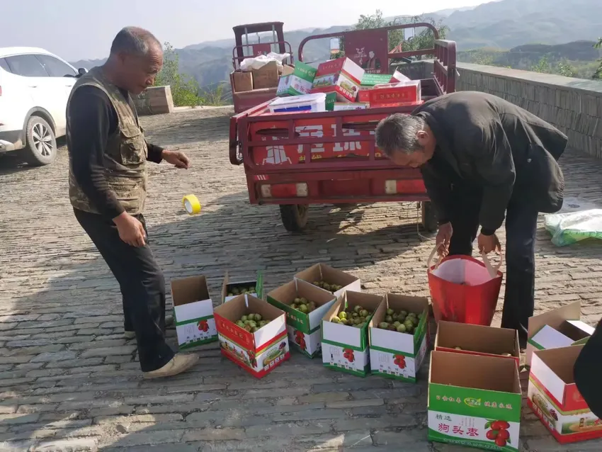 对话“红枣之乡”镇长：有的品种不出市就被卖空，将红枣产业与旅游结合发展