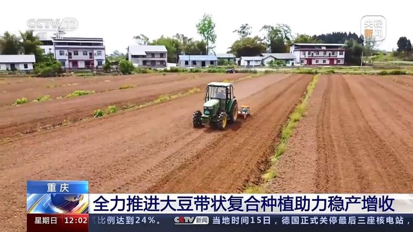 全国已春播粮食面积超1.4亿亩