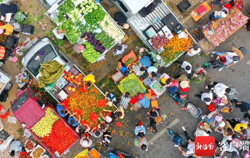 新春走基层 | 年味满满 来三亚社区（村）逛大集、购年货、迎新春