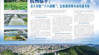 杭州临平：深入实施“八八战略”，全面推进城乡高质量发展