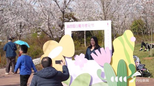 樱花开满园 市民游客共赏花韵