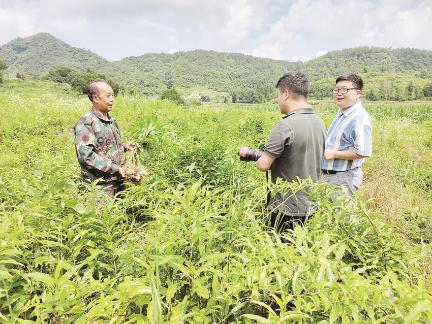 多产业结硕果  擘画“强村富民”美景