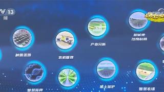 大数据+新技术助力 黑龙江推进主要粮油作物大面积单产提升