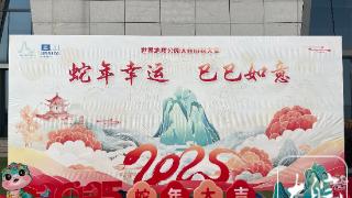 新春走基层｜博物馆里过大年 生肖文物大联展展现民俗文化