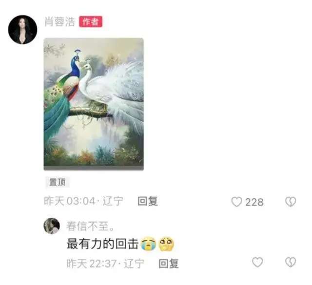 杨丽萍团队舞蹈尺度大引争议