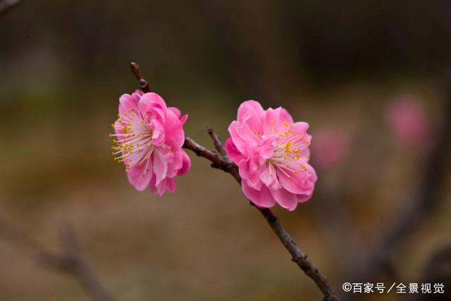 人到六十岁，这四件“使命感”的事没完成，晚年很难熬