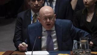 俄常驻联合国代表：以色列无视所有和平解决加沙问题的办法