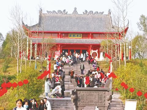 花式迎新春 新年“氛围感”拉满