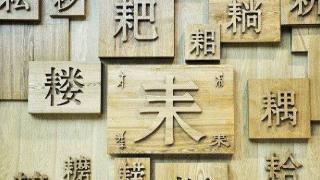 汉字为什么没有被拼音文字取代，是因为它有这两大特性