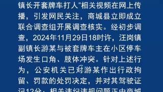 河南商城通报“副镇长开套牌车打人”：已行拘，县纪委监委介入