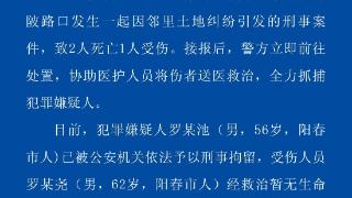 广东阳春发生一起刑事案件 致2死1伤，警方通报