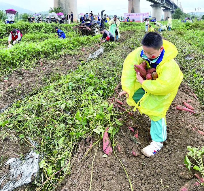 五谷丰登 庆余年