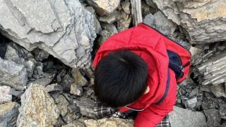 山东临沂5岁男孩爬山时发现化石？