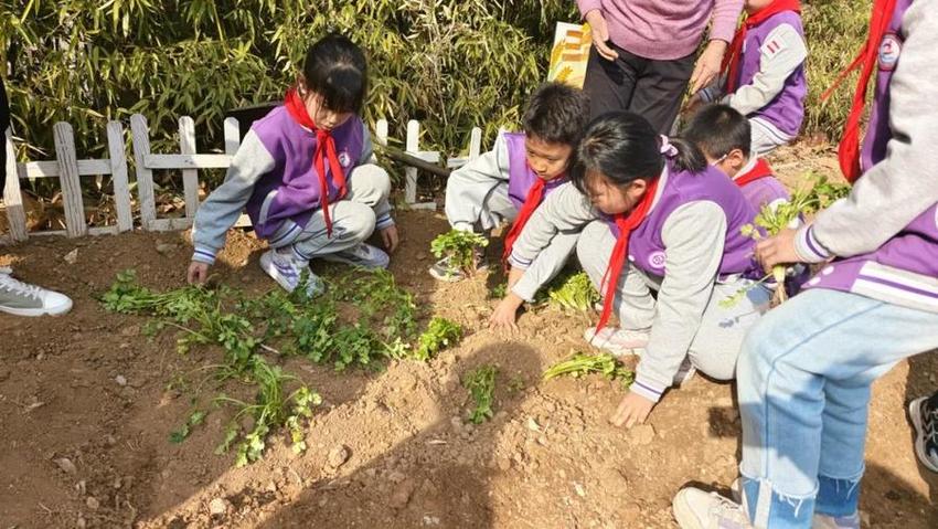 龙抬头·农耕情·劳动美——济南高新区康虹路小学春耕节活动