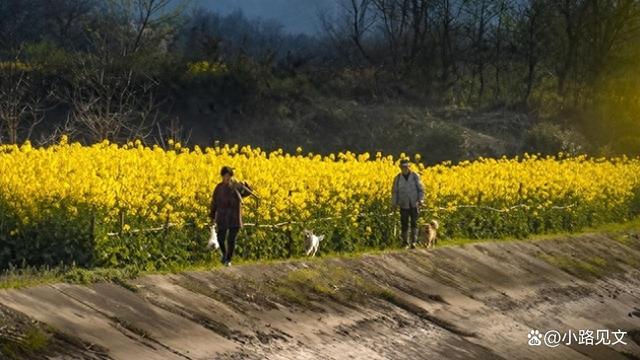 公婆退休金加起来八千，却每月给我五千五，我马上跟娘家断了关系