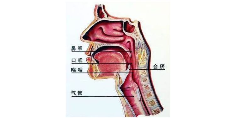 趴桌午休后，为什么会打嗝、感到胃胀、有呕吐感？