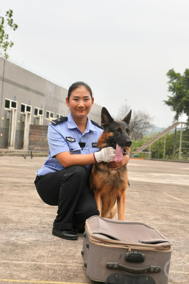 百姓记录｜警队来了第一位警犬女训导员 她想训出一只“功勋犬”！