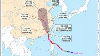 超强台风“杜苏芮”来了，武汉至福建等地多个航班被取消