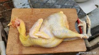 杀鸡时，鸡肚里有块大“黄油”，是吃掉还是该扔掉？看完涨知识了
