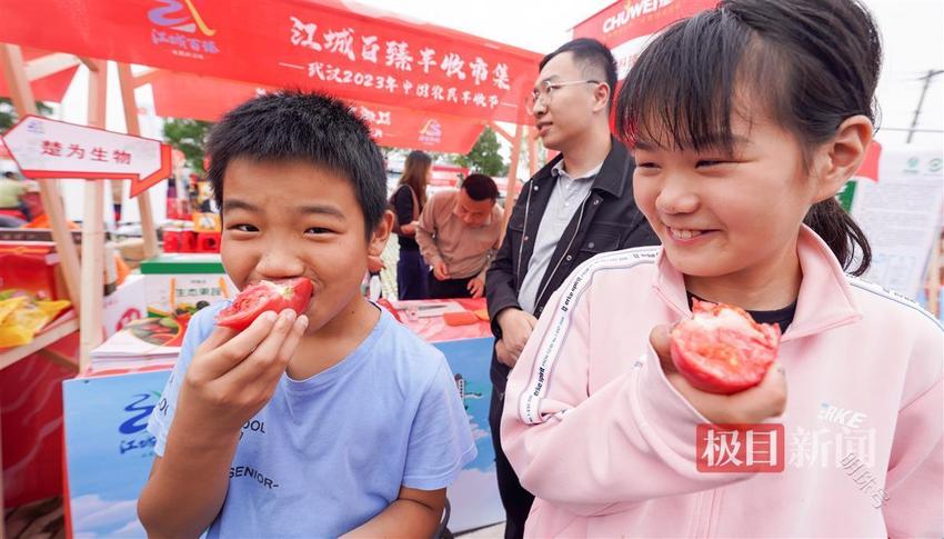 庆丰收，促和美！农民丰收的喜悦在武汉田间跳动