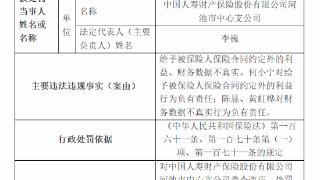 中国人寿财险河池中支及3责任人被罚 财务数据不真实