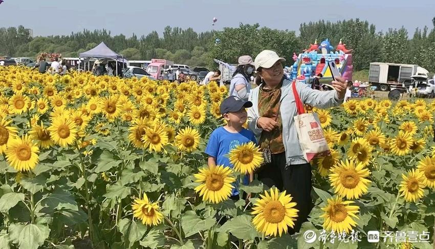 花海漫步拍美照！济南黄河油葵花开正旺，周末迎来大客流