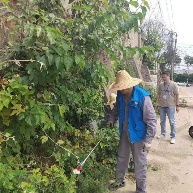 栖化新村社区：整治环境卫生 共建美好家园