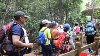 昌江举行“穿越雨林”探秘之旅主题活动