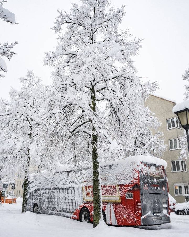 ️拜仁比赛延期！慕尼黑大雪压断树枝，柏林联合大巴被白雪覆盖