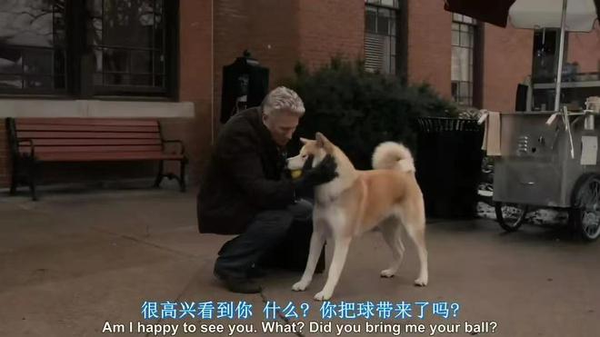 《忠犬八公的故事》用细节塑造出来，令人感动之余又感同身受