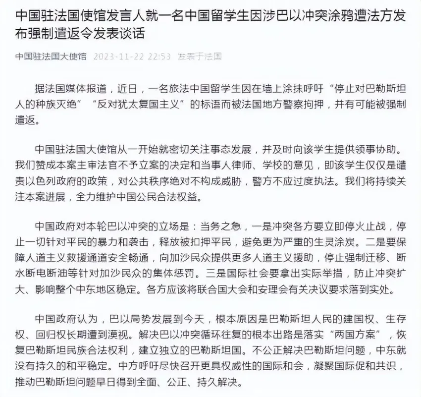 中国留学生将被法国强制遣返，我驻法使馆发声