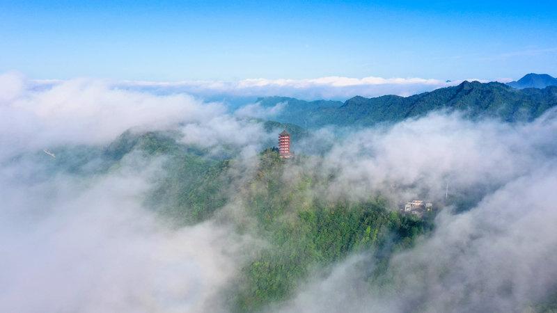 习水：碧水蓝天绿满城　生态文明谱新篇