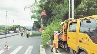 漳浦：排查清理 消除隐患