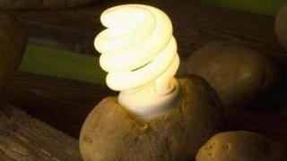 家里停电不用买蜡烛了，有了“土豆”就能解决，家里到处都很明亮
