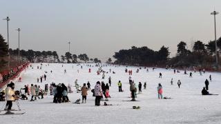 热“雪”迎新春 解锁过年新体验